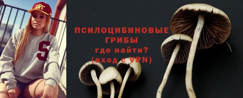 Галлюциногенные грибы Magic Shrooms  Верхнеуральск 